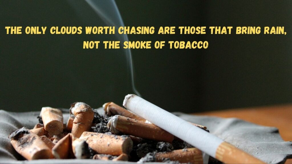 World No Tobacco Day Quotes
