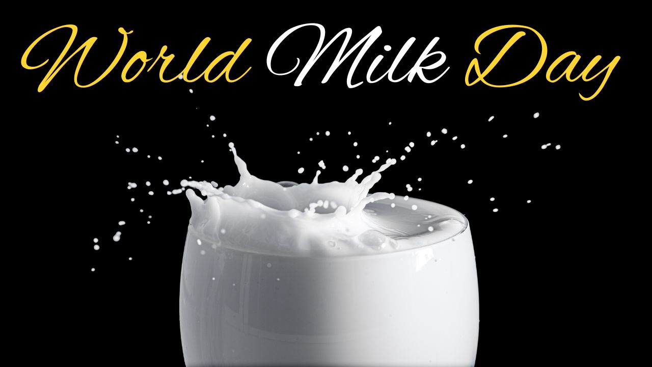 International Milk Day