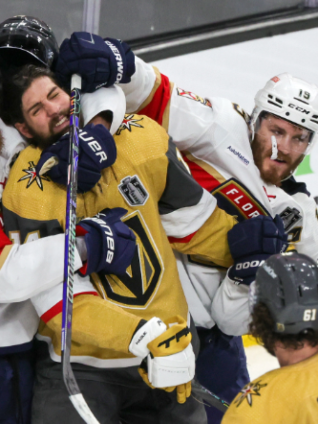 How Panthers and Golden Knights Differ in Attitude and Style?