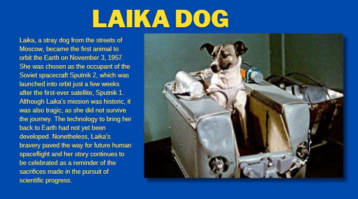 Laika Dog