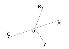 adjacent Angle