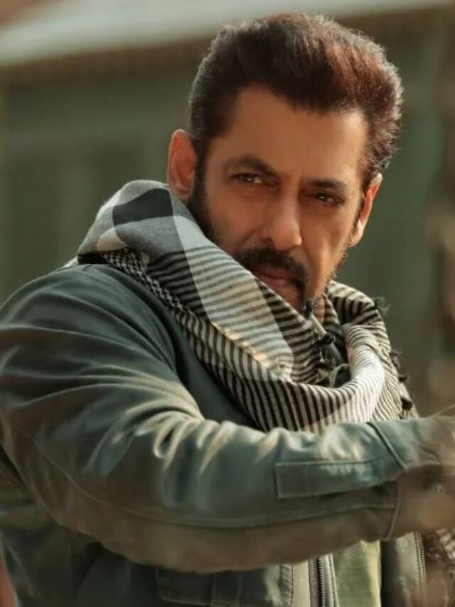 Salman Khan in Tiger 3 Movie