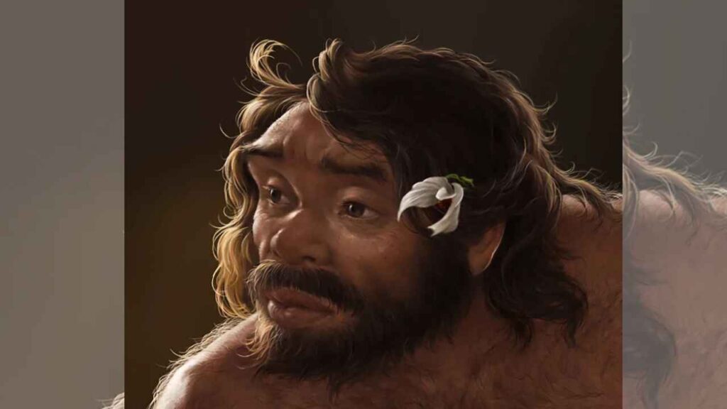 skull discovered in China in 2021Dragon man 