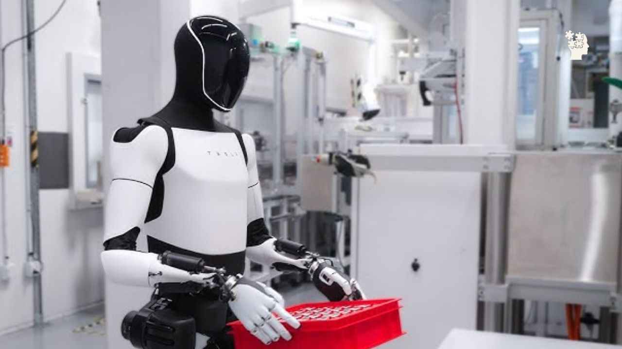 Tesla optimus wisdom Imbibe