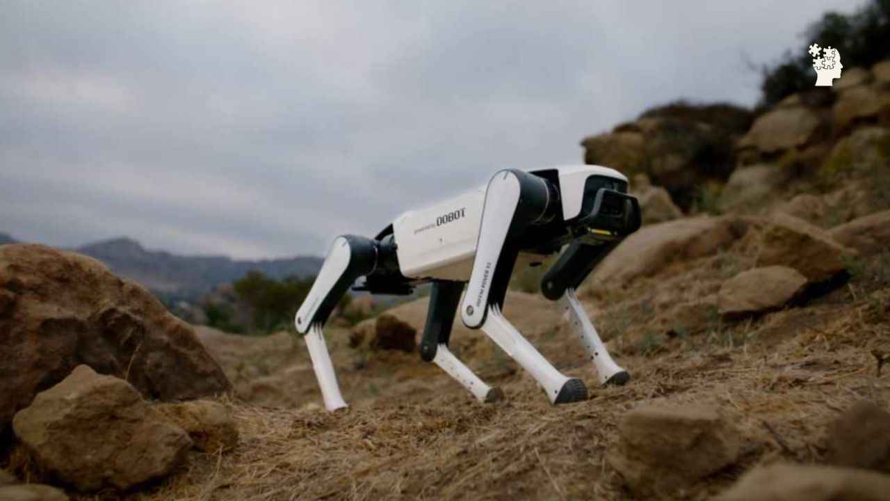 Dobot's $1,000 Robot Dog Just Crashed the Party: Say Goodbye to Overpriced Bots and Hello to Your New Household Sidekick